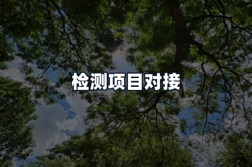 检测项目对接